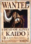 One Piece Wanted Poster  Kaido Bounty OP1505 21cm X 30cme Official One Piece Merch