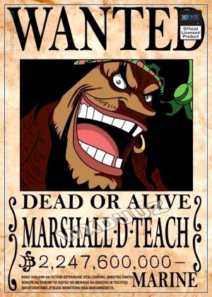 One Piece Wanted Poster  Marshall D. Teach OP1505 21cm X 30cm Official One Piece Merch