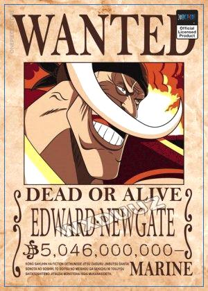 One Piece Wanted Poster  Edward Newgate Bounty OP1505 21cm X 30cm Official One Piece Merch