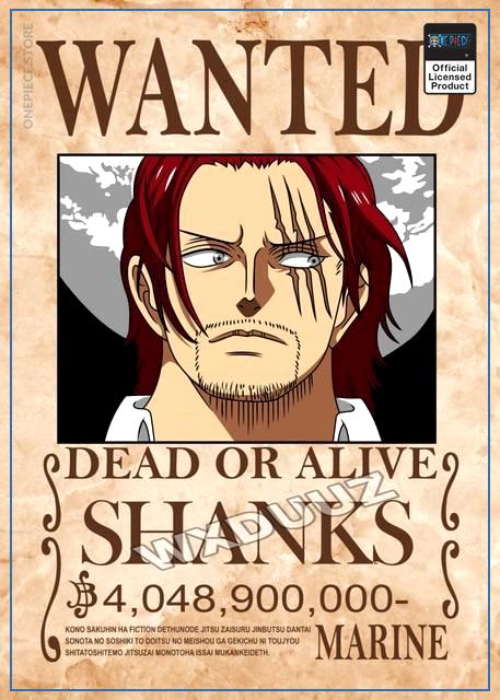 One Piece Wanted Posters, Bounty Posters One Piece