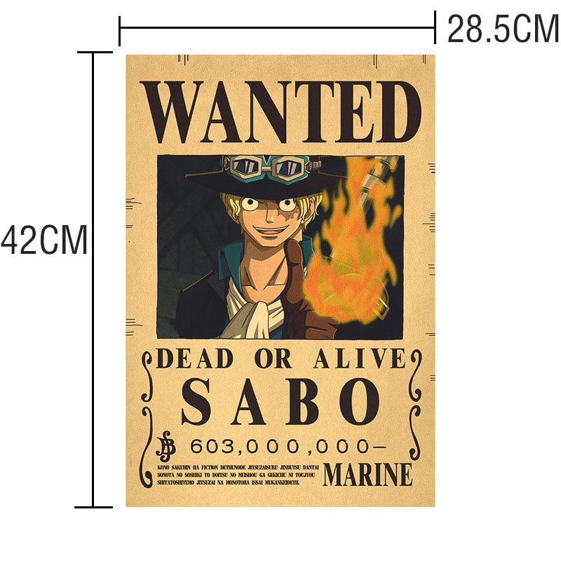 HD one piece wanted poster wallpapers | Peakpx